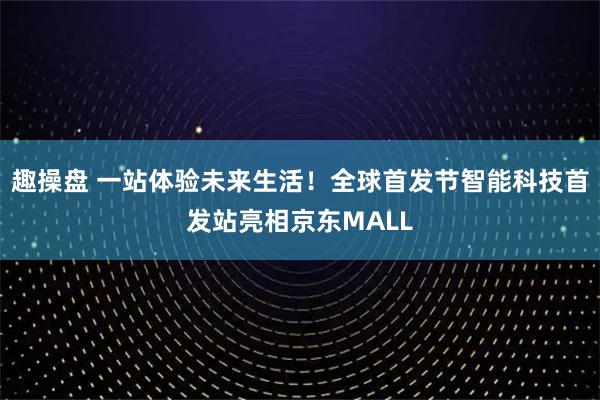 趣操盘 一站体验未来生活!全球首发节智能科技首发站亮相京东MALL