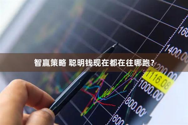 智赢策略 聪明钱现在都在往哪跑？